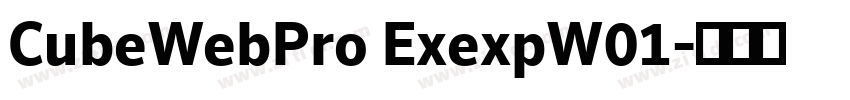 CubeWebPro ExexpW01字体转换